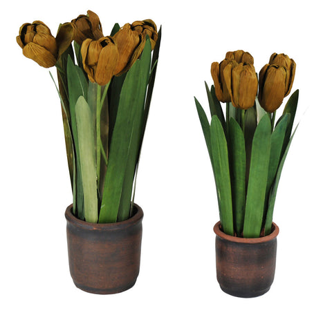 VASO C/TULIPANI ARANCIO