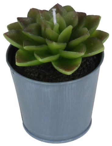 VASO C/CANDELA PIANTA GRASSA