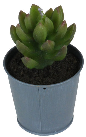 VASO C/CANDELA PIANTA GRASSA