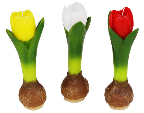 CANDELA TULIPANO COLORI MISTI
