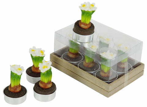 CONFEZIONE 6 TEALIGHT NARCISO BIANCO